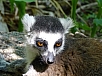 DSC01314.jpg