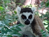 DSC01319.jpg