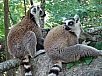 DSC01325.jpg