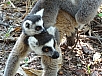 DSC01381.jpg
