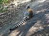 DSC01388.jpg
