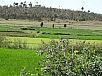 DSC01483.jpg