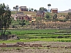 DSC01488.jpg
