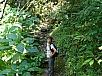 DSC01534.jpg