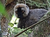 DSC01565.jpg