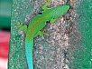 DSC01589.jpg