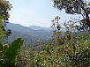 DSC01591.jpg