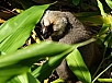 DSC01594.jpg