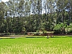 DSC01704.jpg