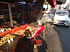 DSC01850.jpg