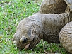 DSC01882.jpg