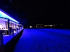 DSC01978.jpg