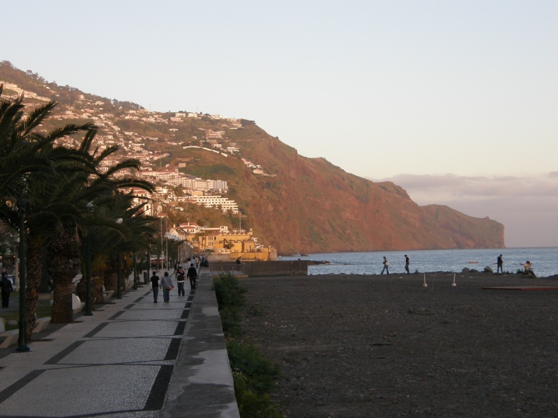 P2260169.jpg