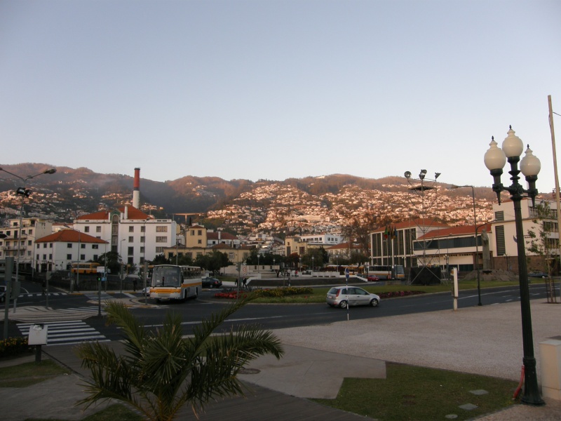 P2260173.jpg