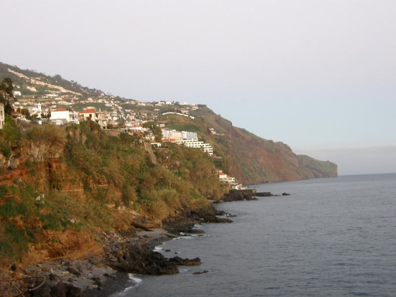 P2260188.jpg