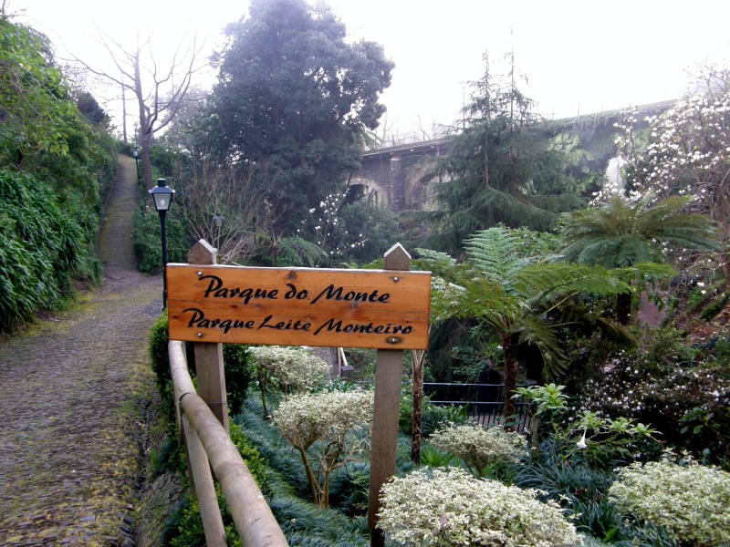 P2270213.jpg