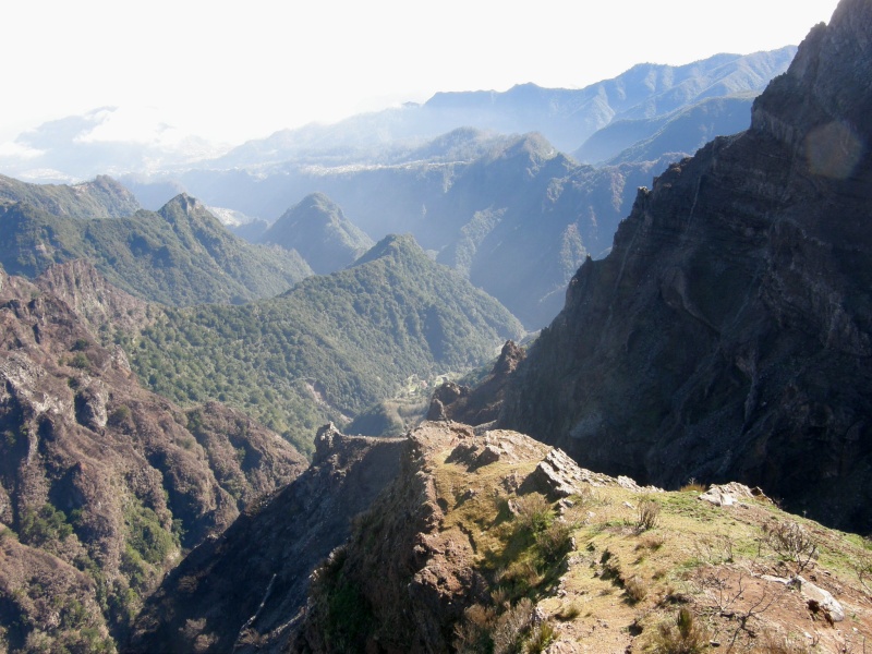 P2270268.jpg