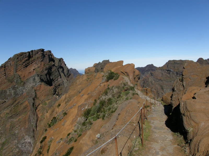 P2270271.jpg