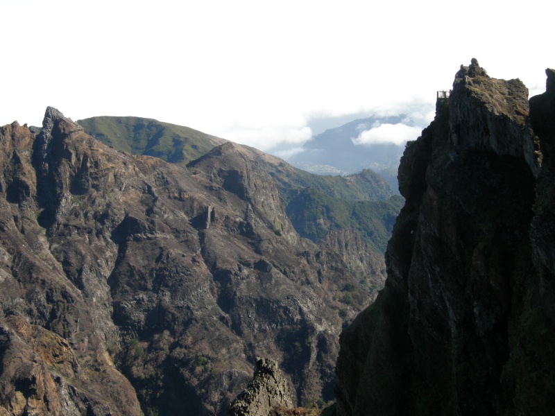 P2270273.jpg