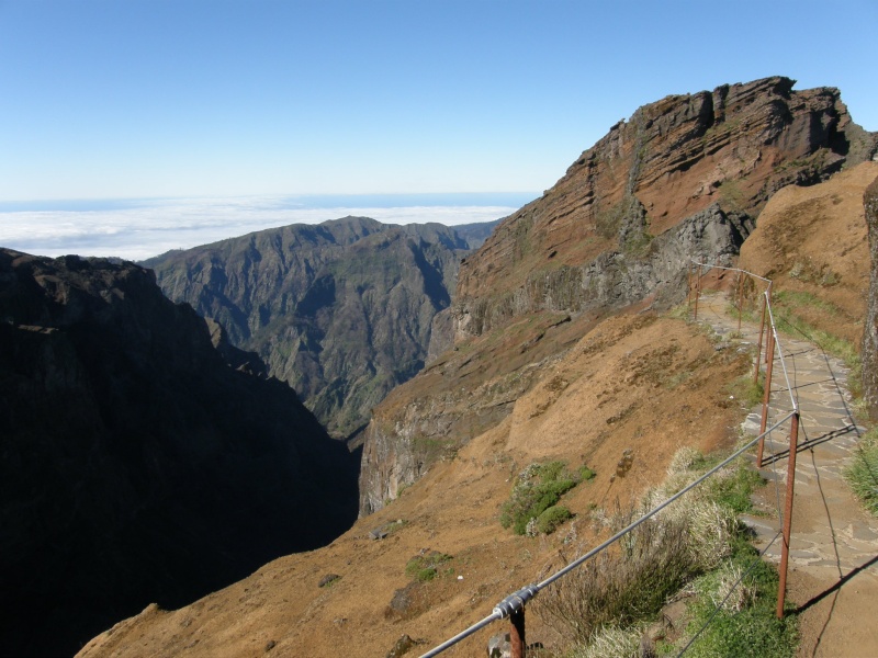 P2270274.jpg