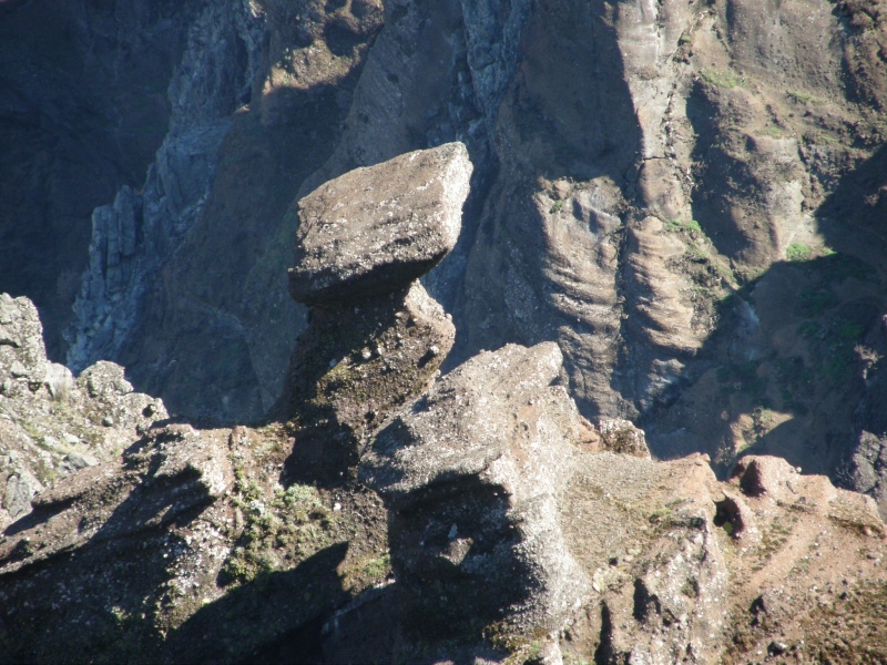 P2270284.jpg