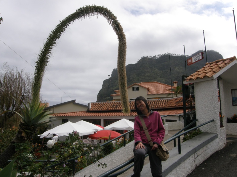 P2270301.jpg