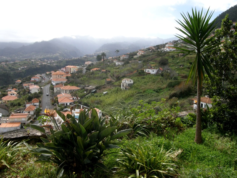 P2270314.jpg