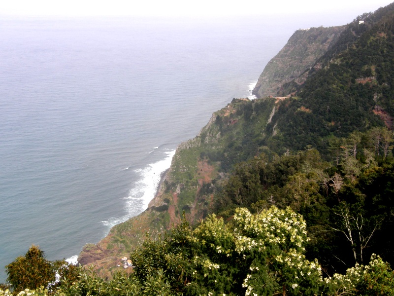 P2270342.jpg