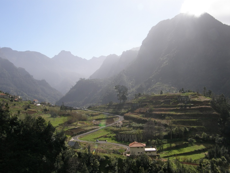 P2270350.jpg
