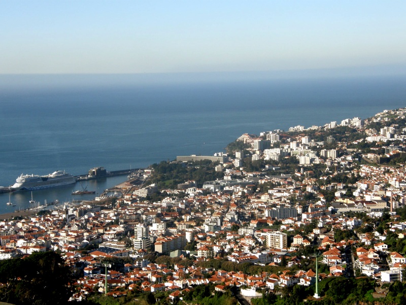 P2280400.jpg