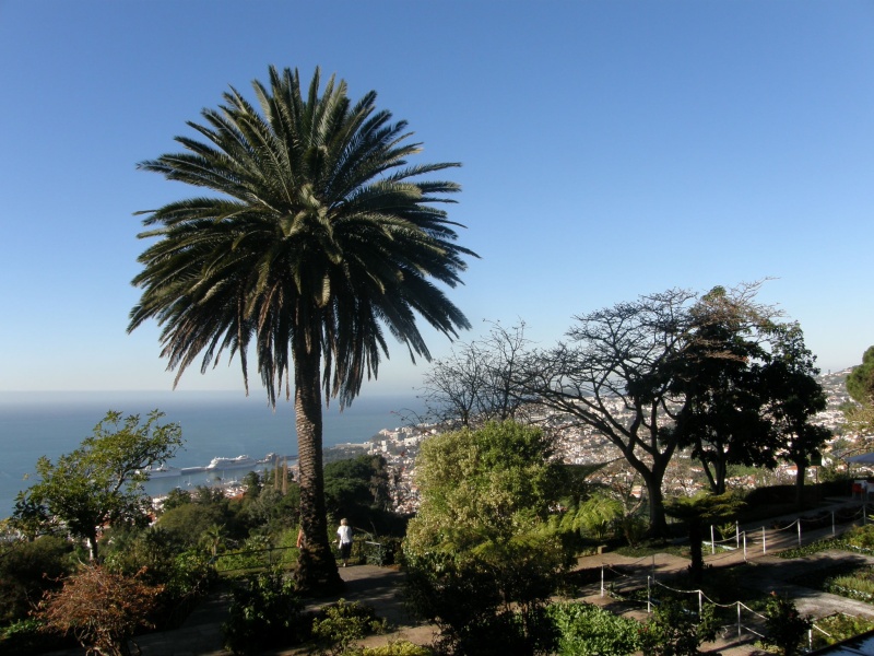 P2280417.jpg