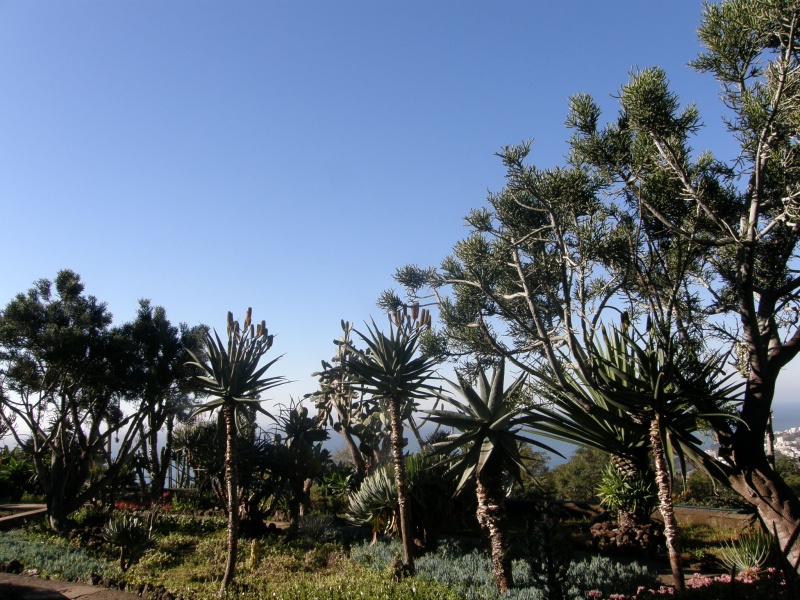 P2280420.jpg