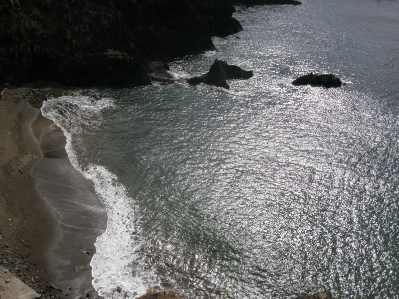 P2280443.jpg