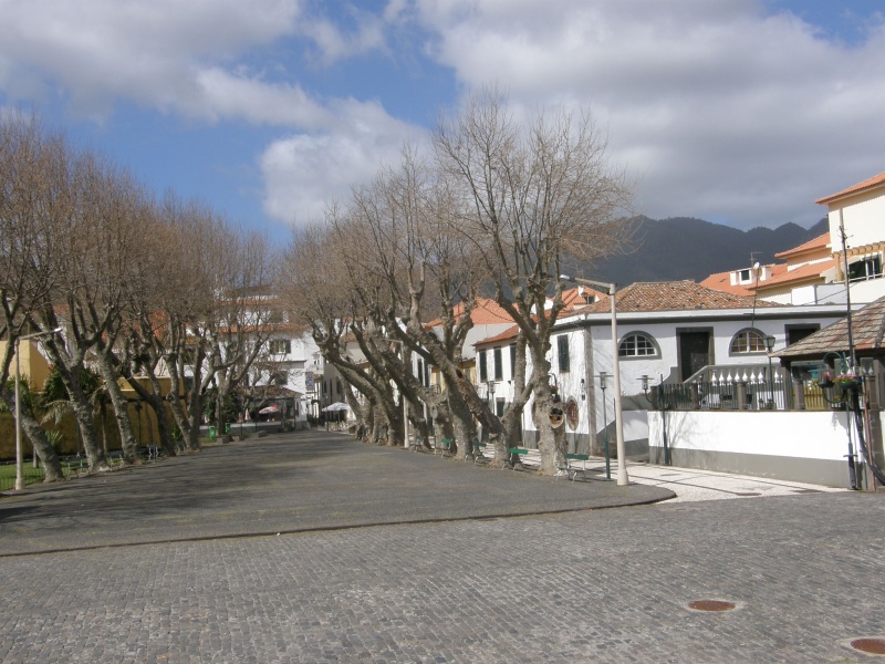 P2280492.jpg
