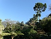 P2280413.jpg
