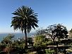 P2280417.jpg