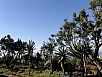 P2280420.jpg