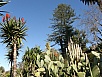 P2280424.jpg