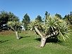 P2280429.jpg
