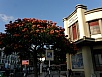 P2280521.jpg