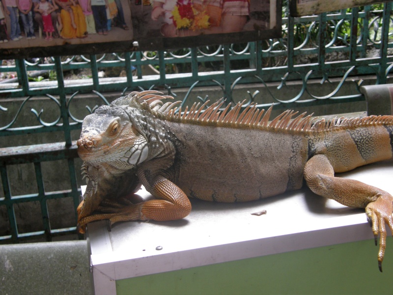 PB011150.jpg