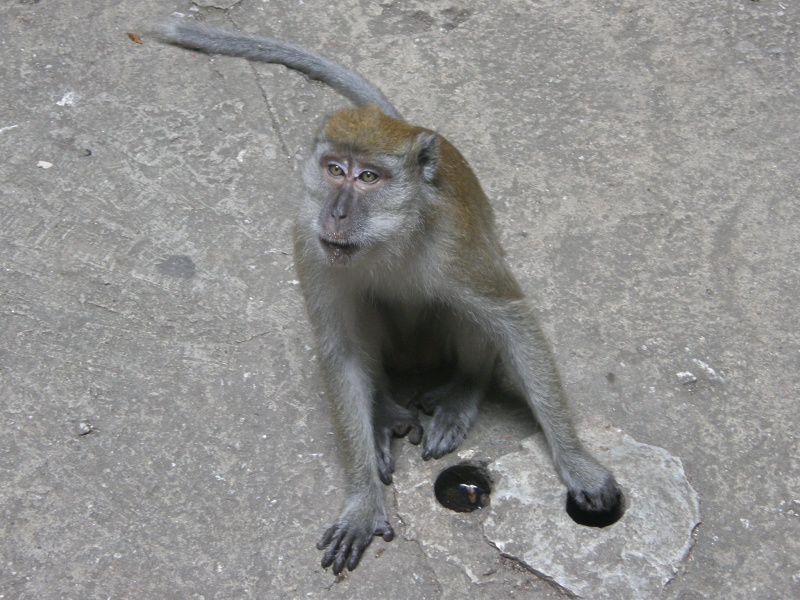 PB011171.jpg
