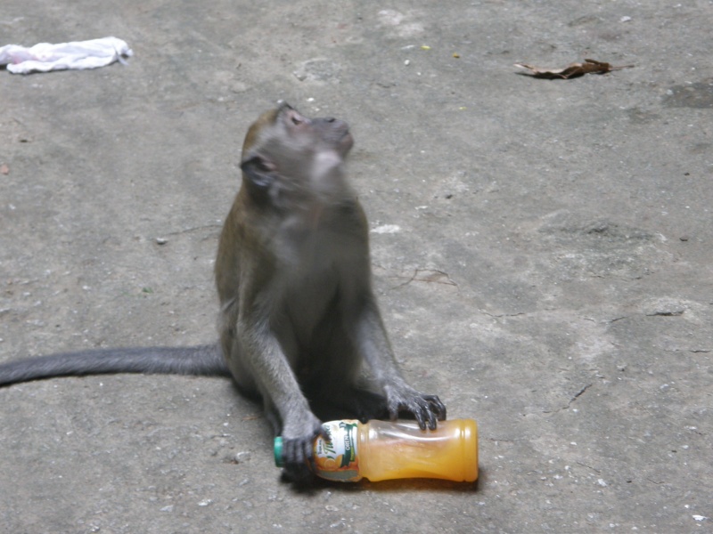 PB011171a.jpg