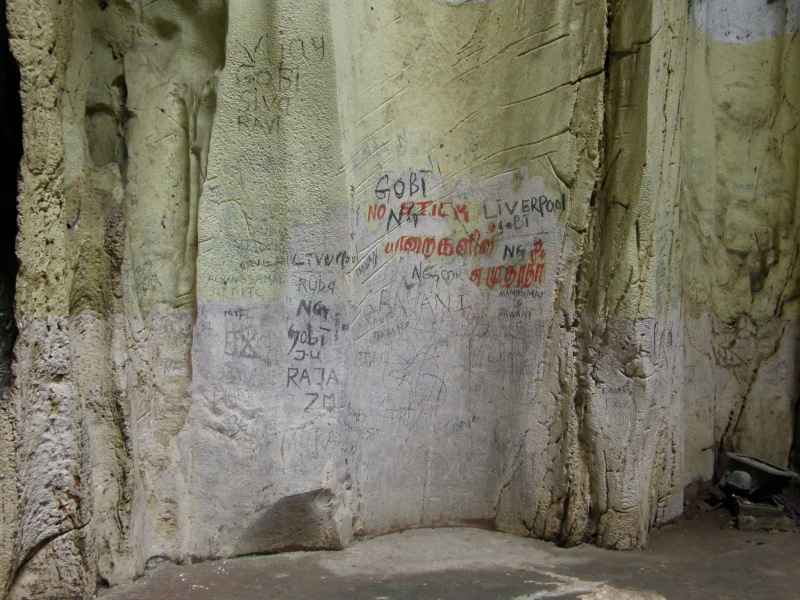 PB011176.jpg