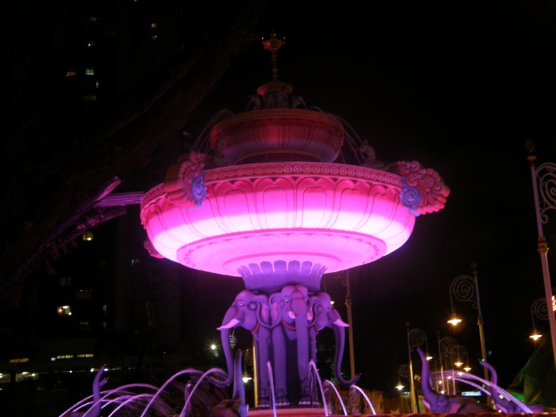 PB011209.jpg