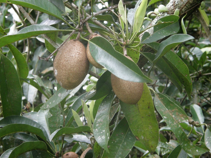 PB021242.jpg