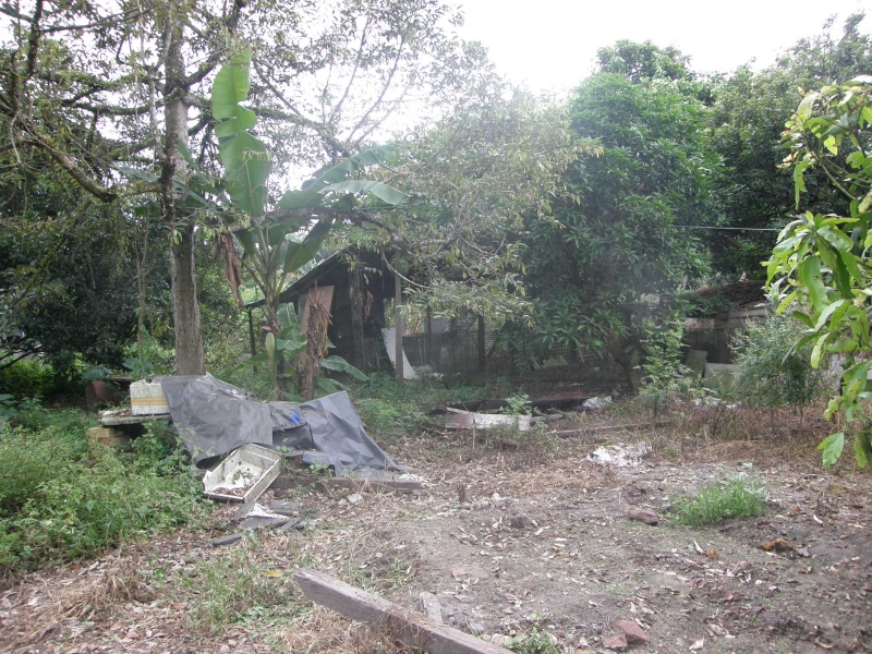 PB021243.jpg