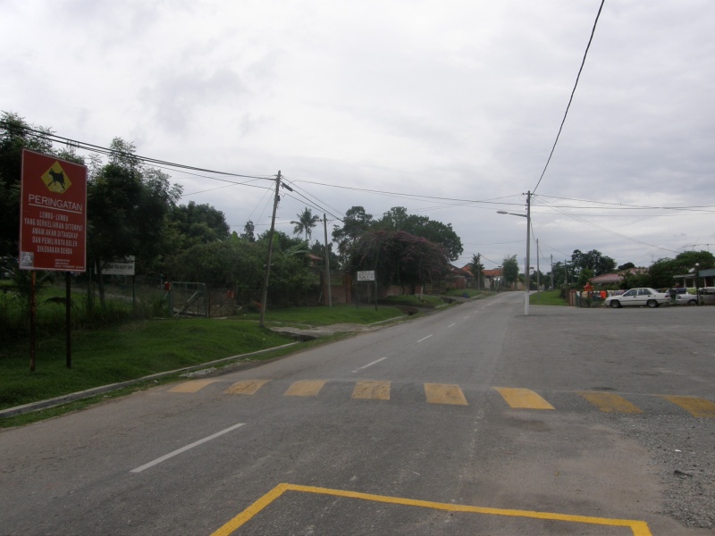 PB021251.jpg