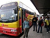 PA220002.jpg