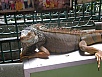 PB011150.jpg